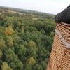 IMG_2350